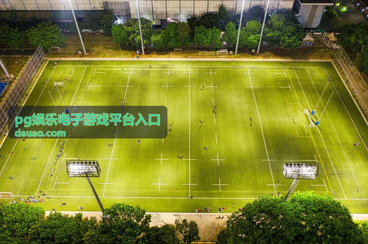 pg娱乐电子游戏平台入口页面加载异常时的自查顺序